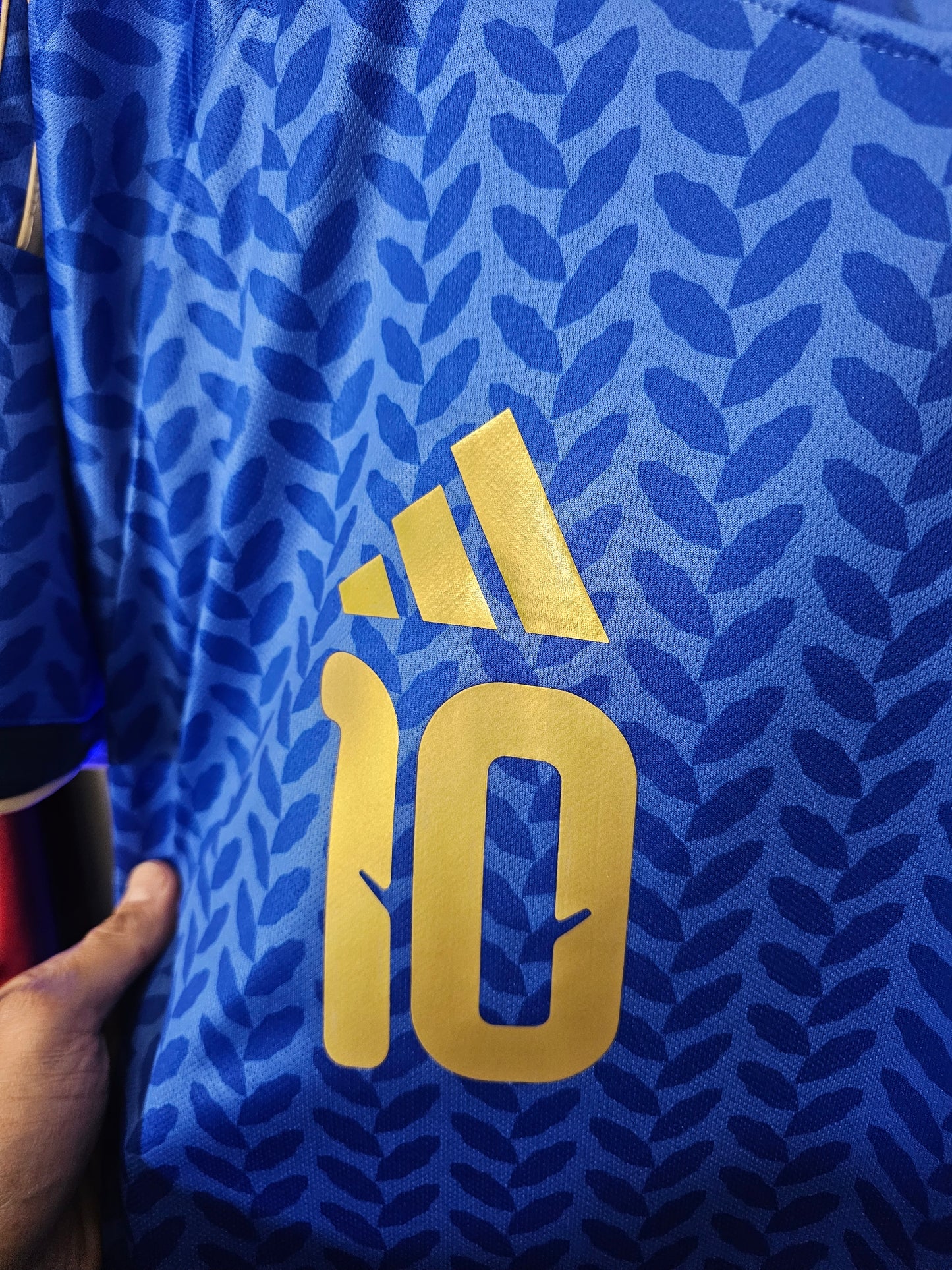 Venezuela Azul Fan con short. Us 2026