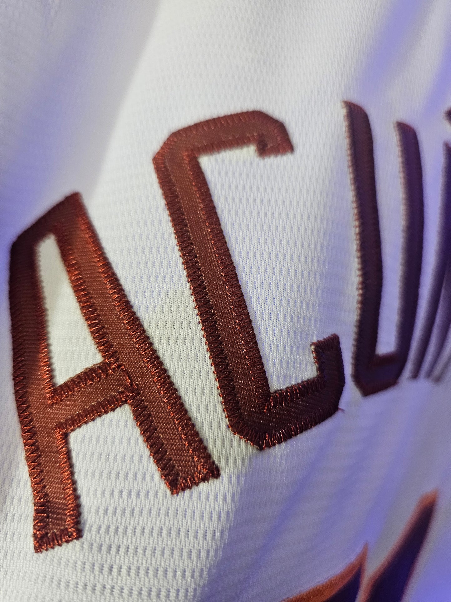Venezuela beisbol blanca 2026 us