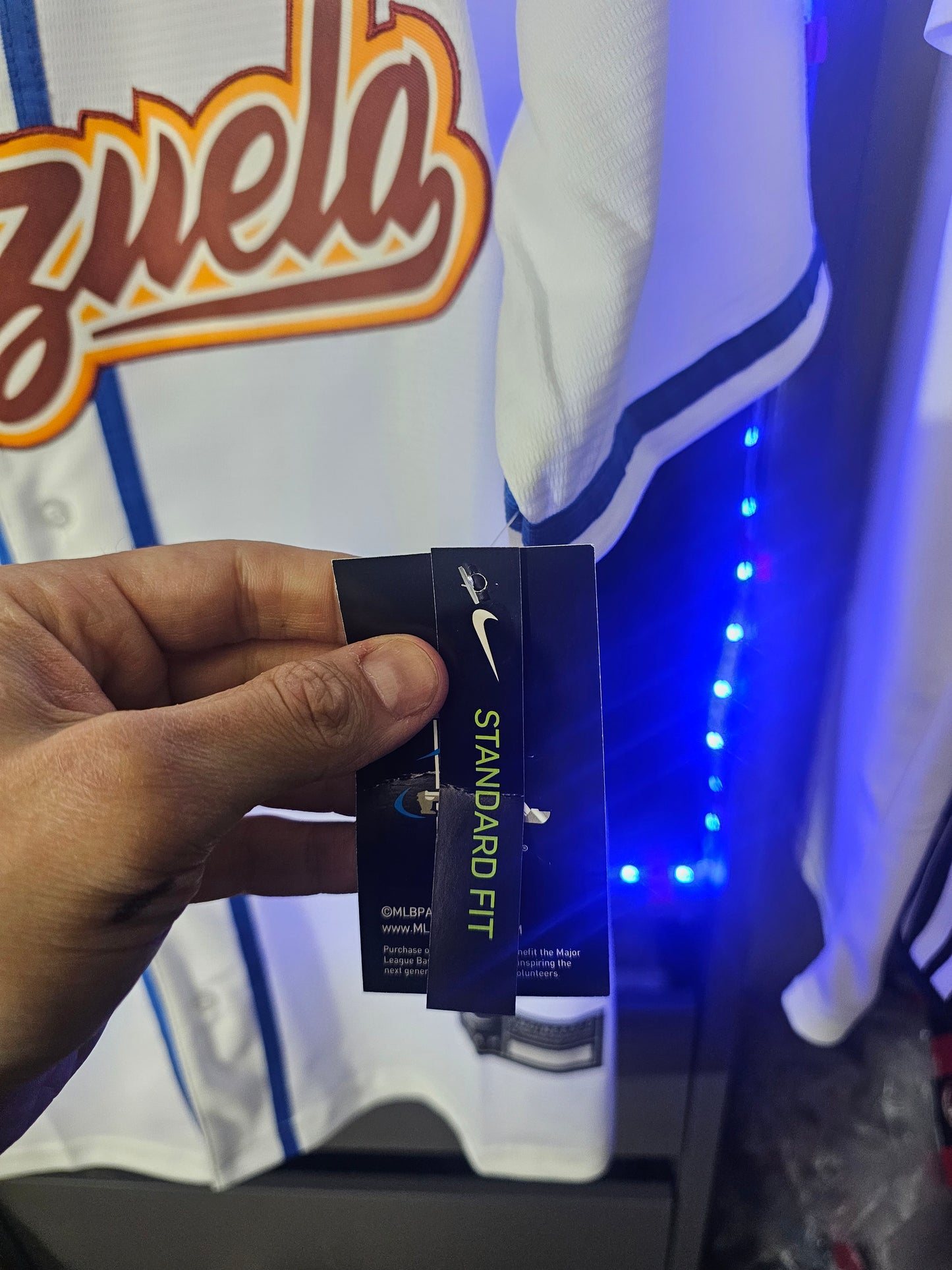 Venezuela beisbol blanca 2026 us